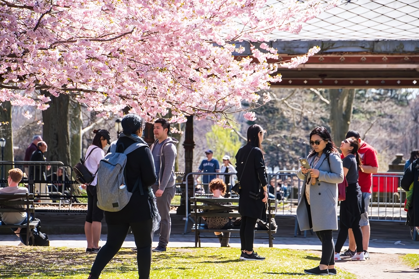 The Prospect Park, Brooklyn