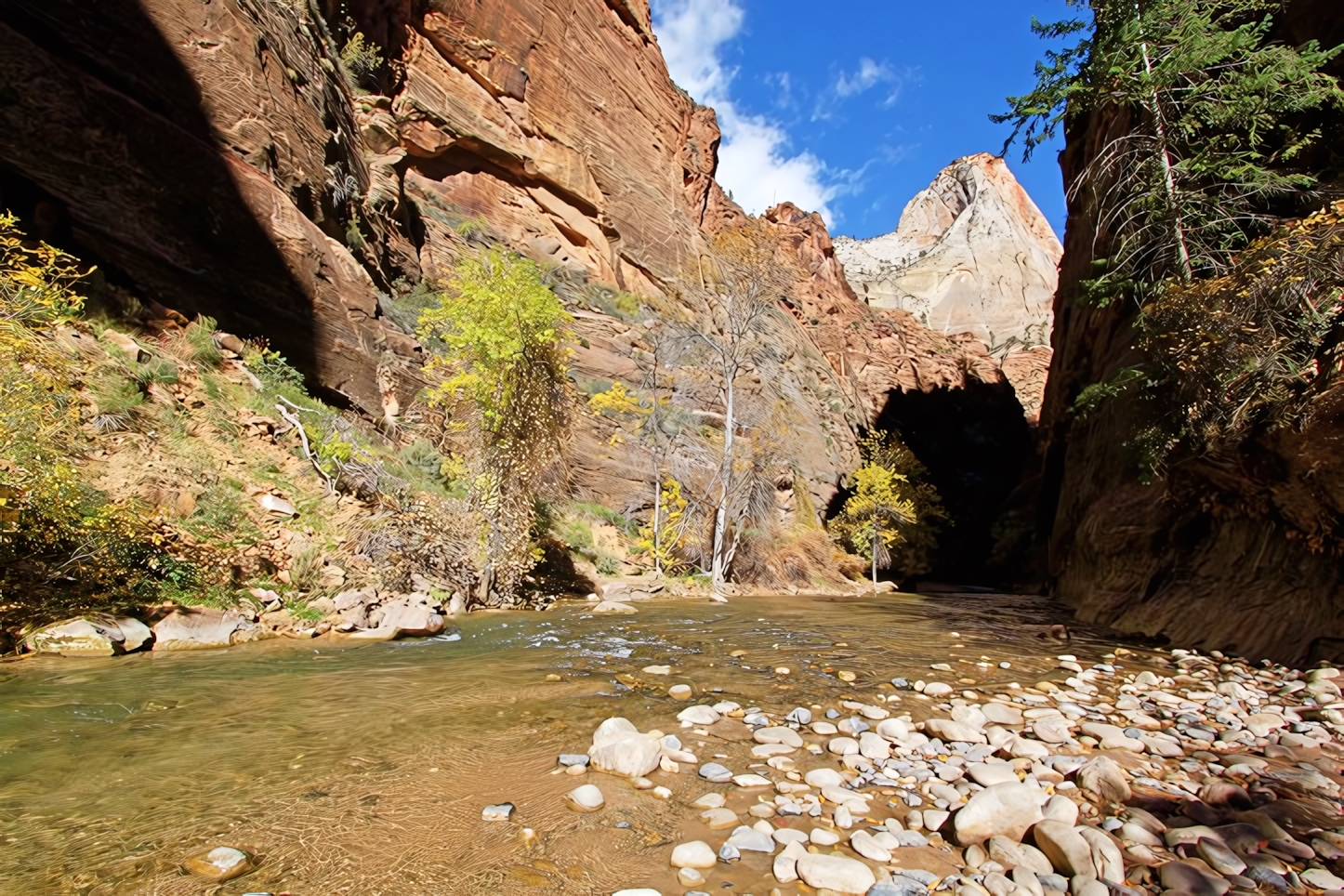 The Zion Narrows