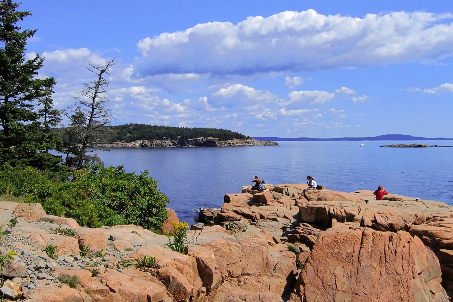 Thunder Hole, Acadia National Park