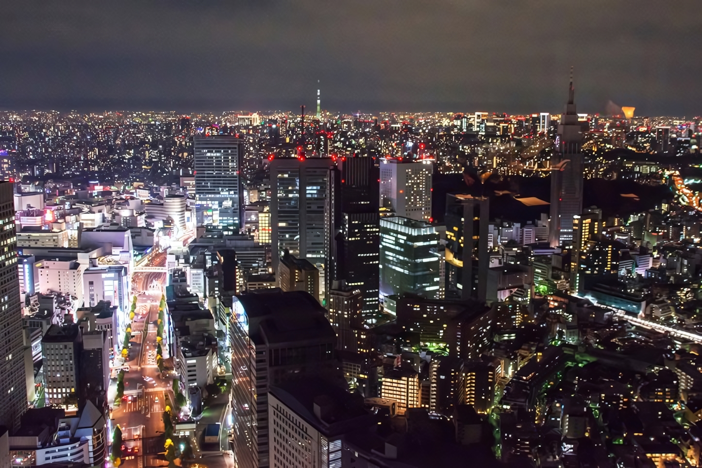 Tokyo from Park Hyatt