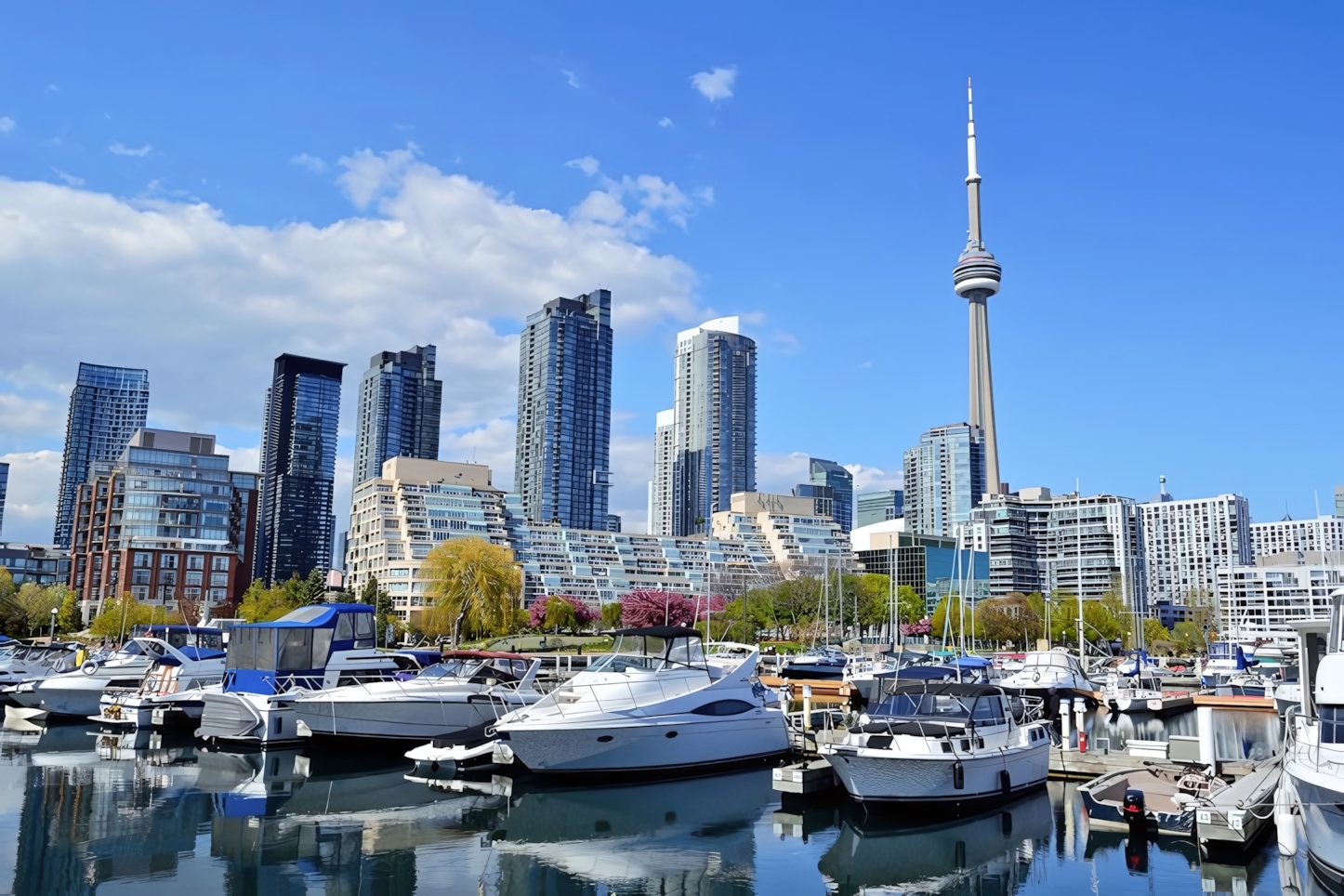 Toronto in a Day: Must-See Attractions and Experiences