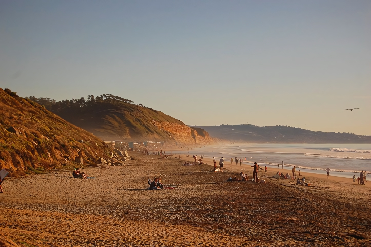 Torrey Pines Beach