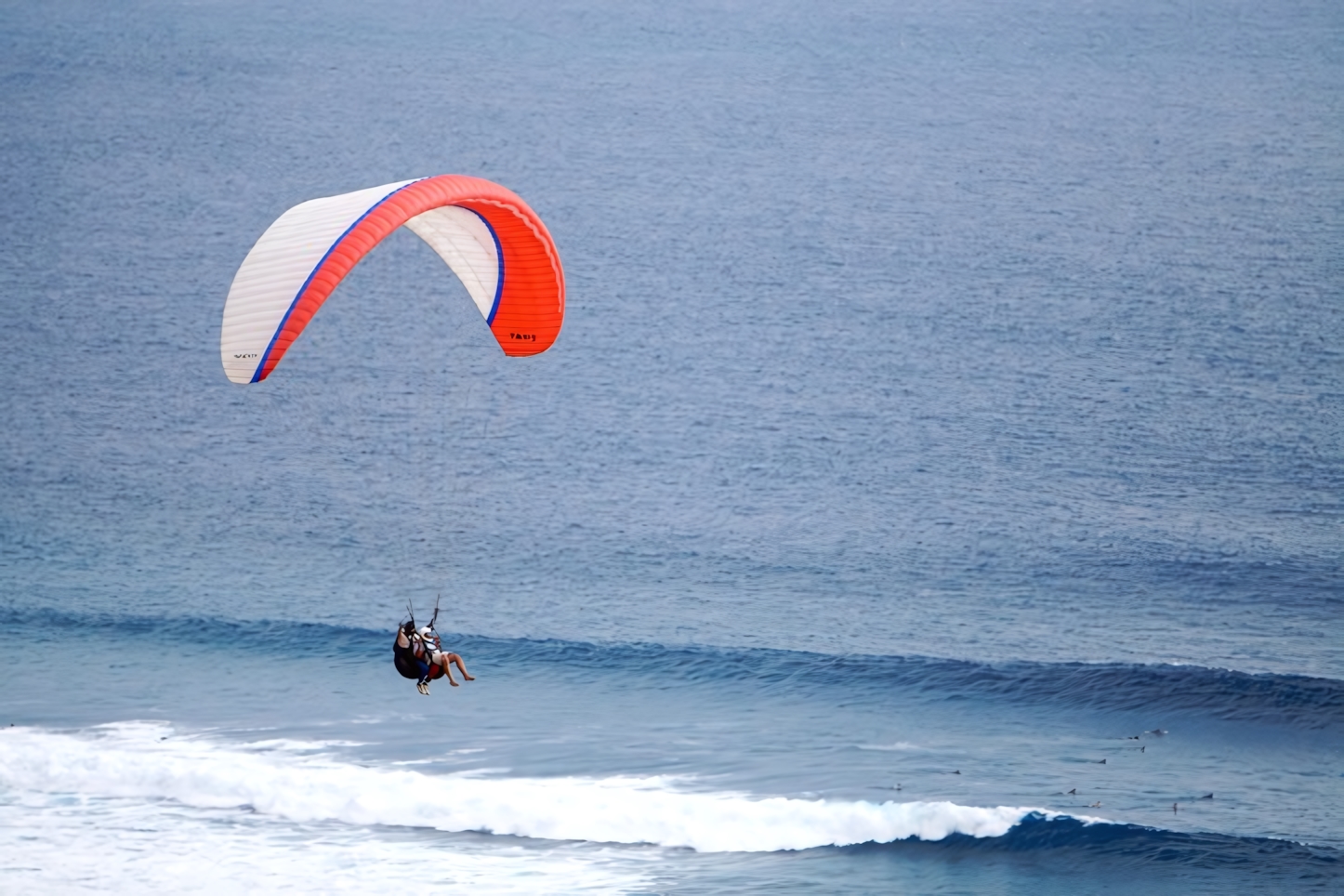 Torrey Pines Paragliding