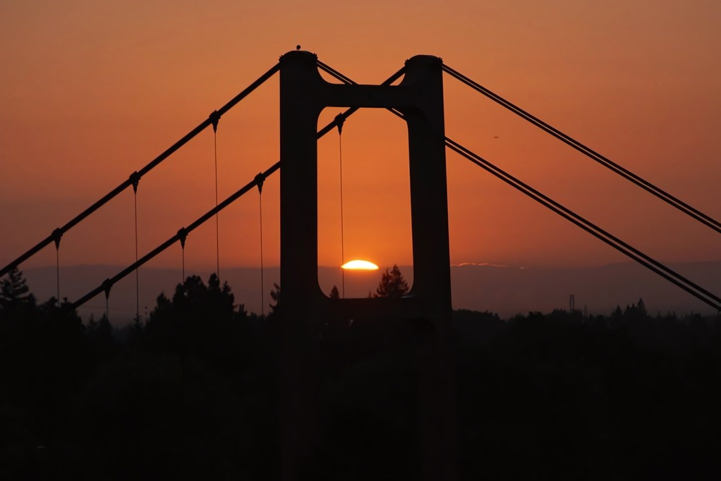 Tower Bridge at Sunset, Sacramento