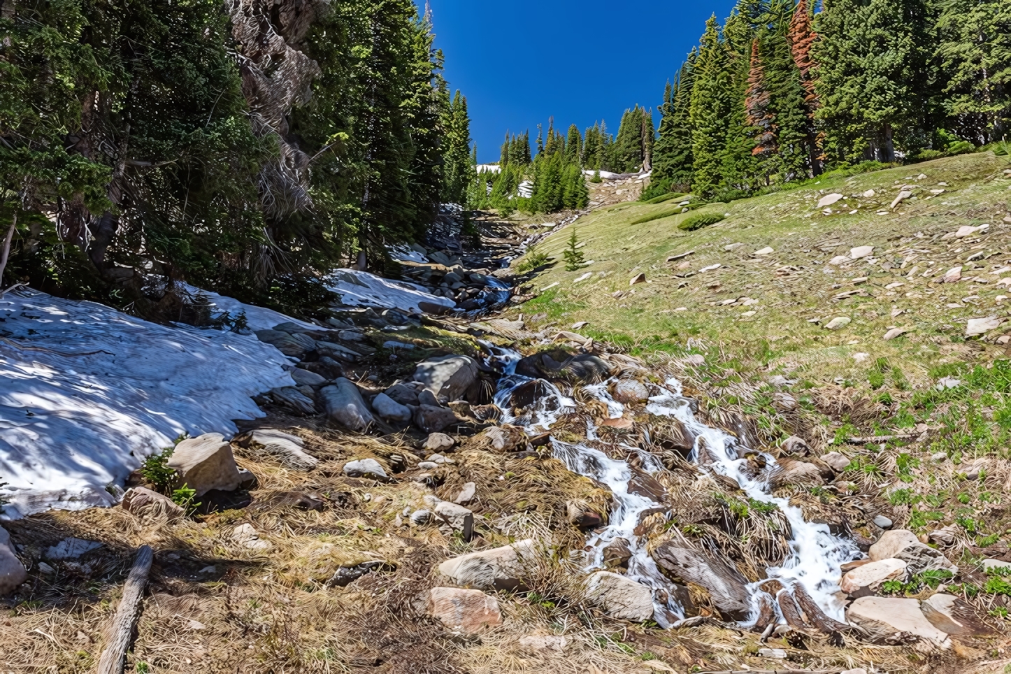 Trail Ridge Road