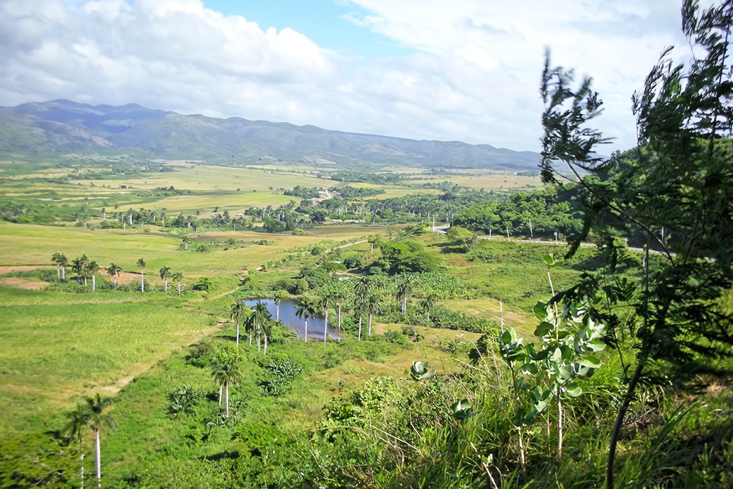 Trinidad Valley