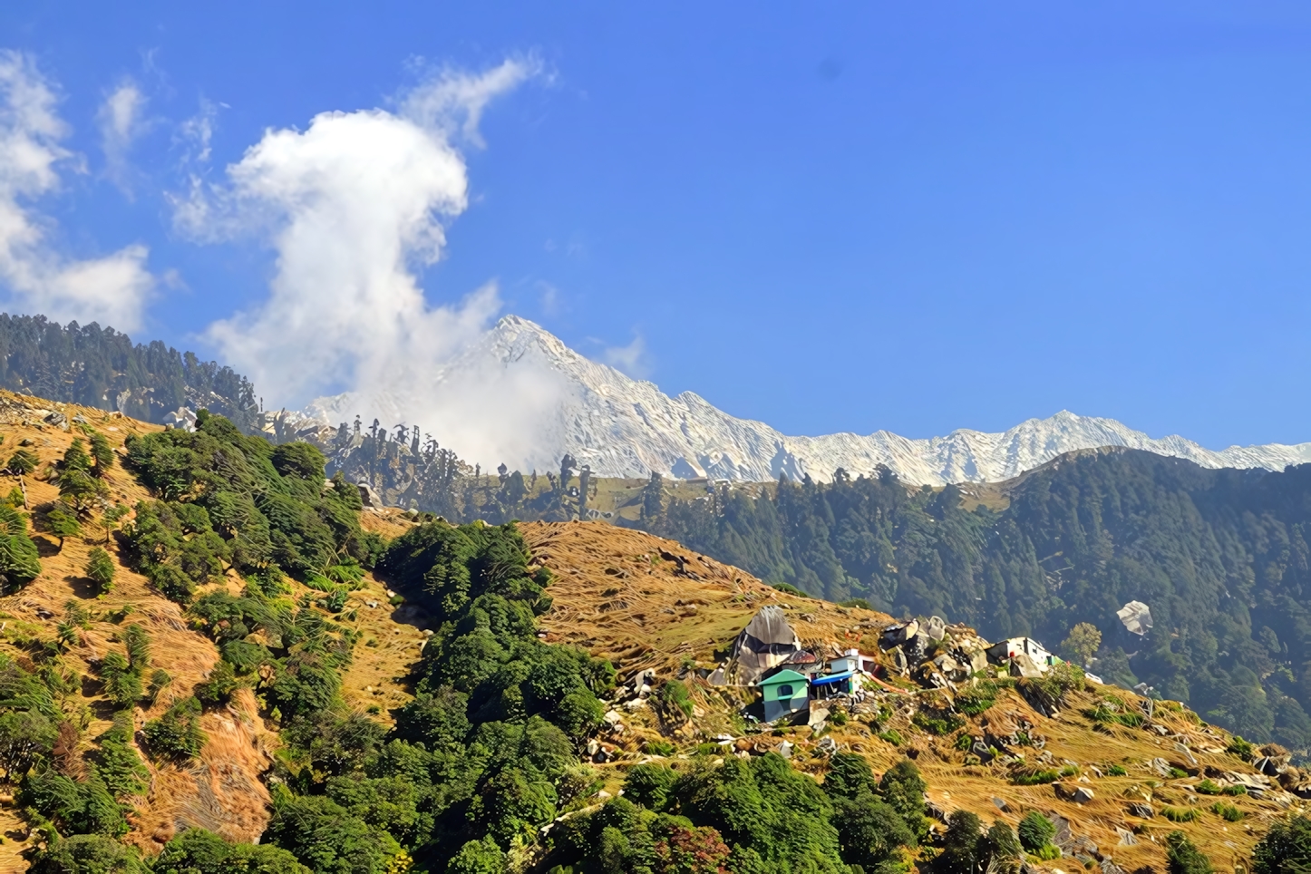 Triund, Dharamsala