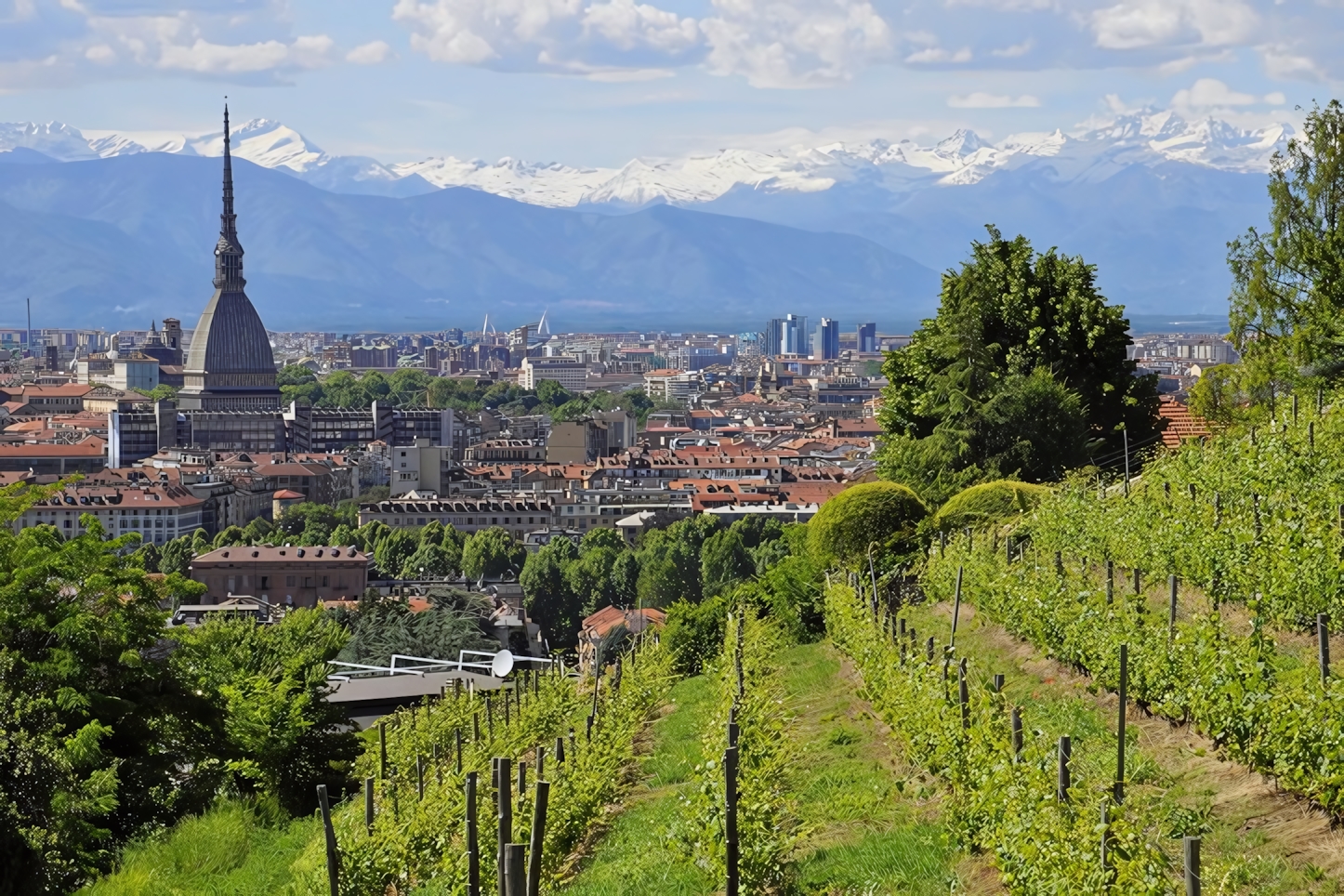 Turin in a Day: Essential Sights and Experiences in Italy's Elegant Northern City