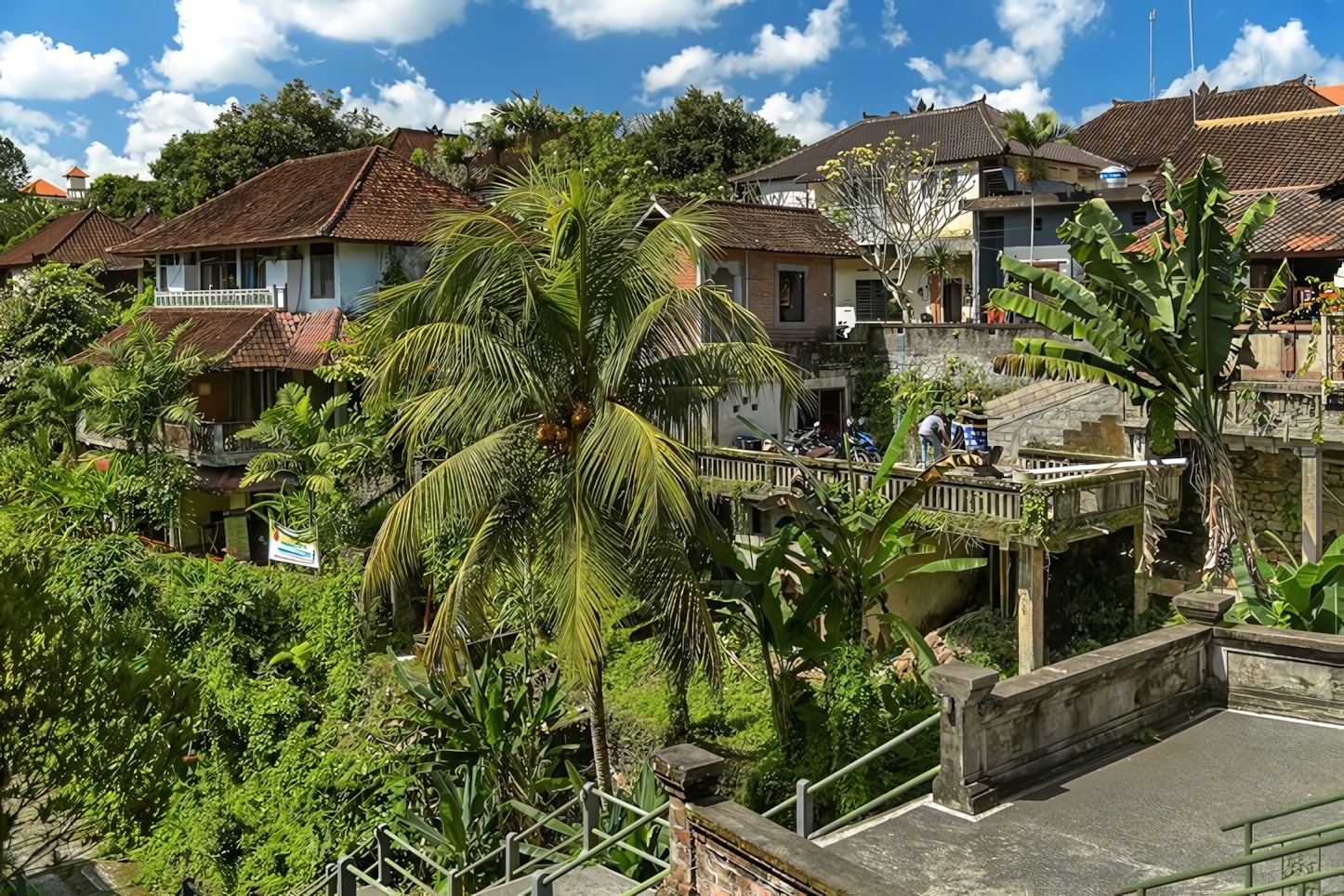 Ubud in a Day: Essential Experiences and Attractions in Bali's Cultural Heart