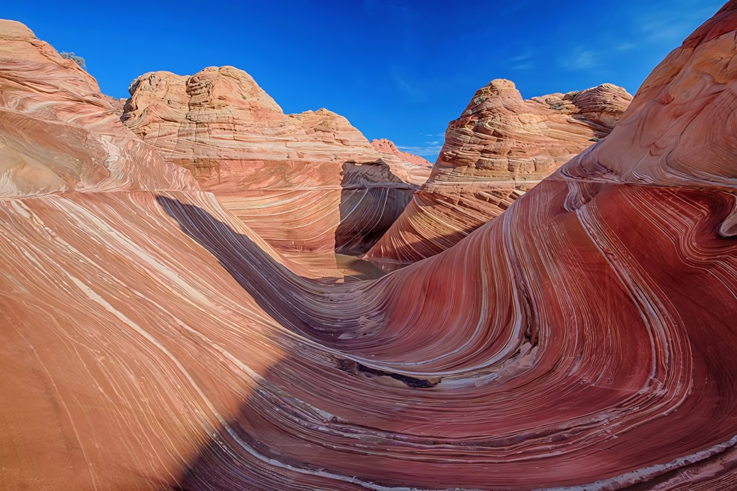 Vermilion Cliffs National Monument, Page 4