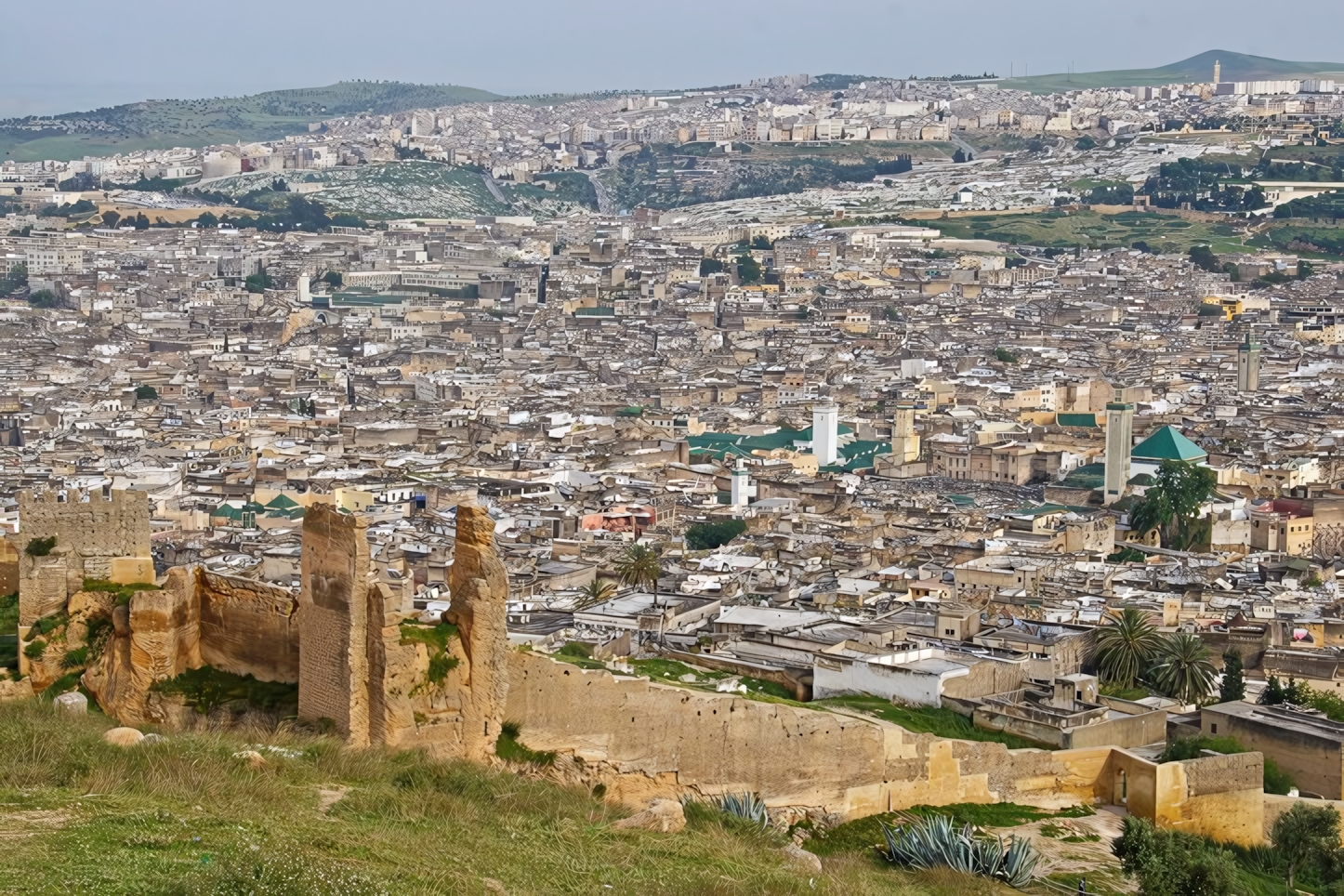 View from the Merinid tombs