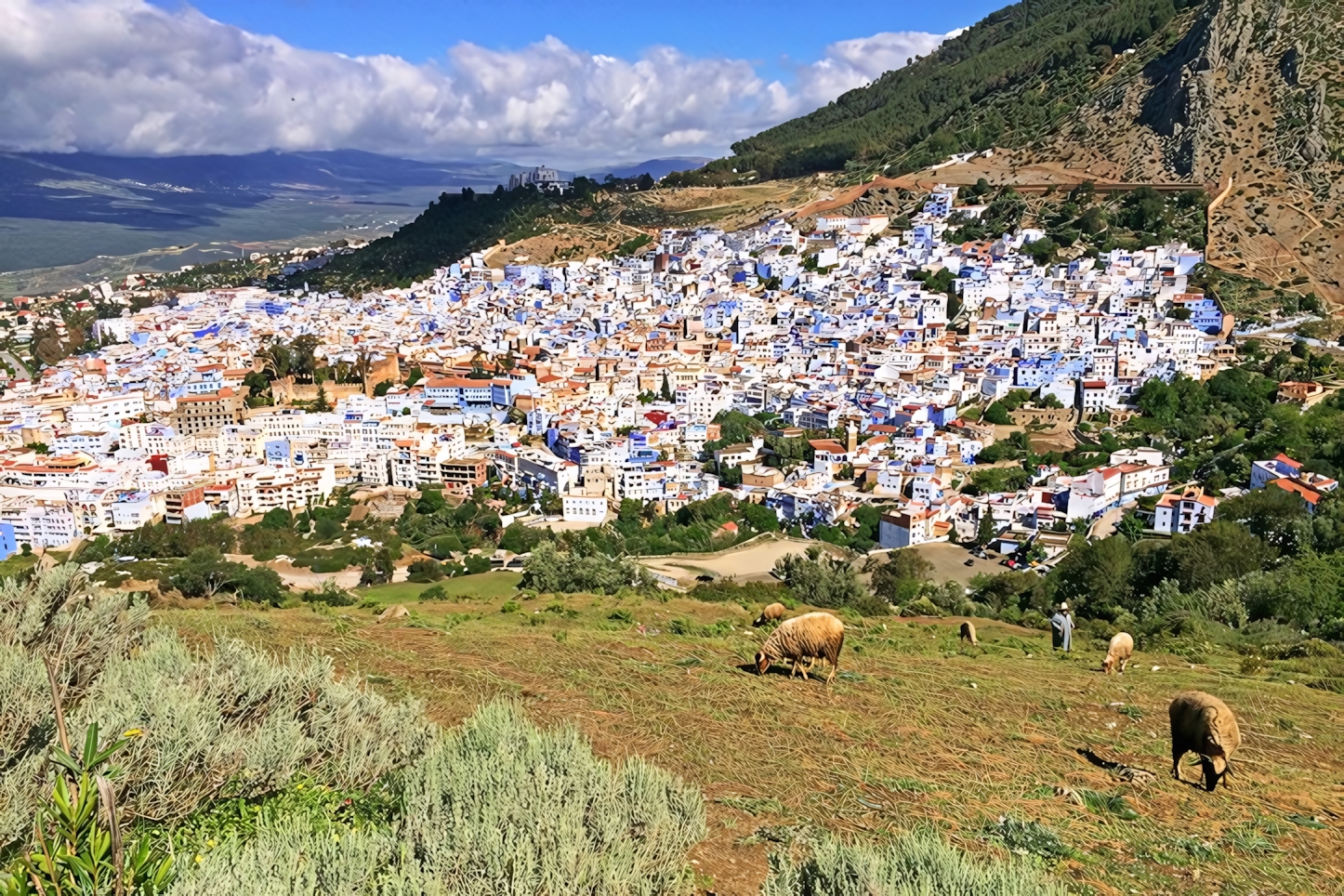 View from the Spanish Mosque viewpoint