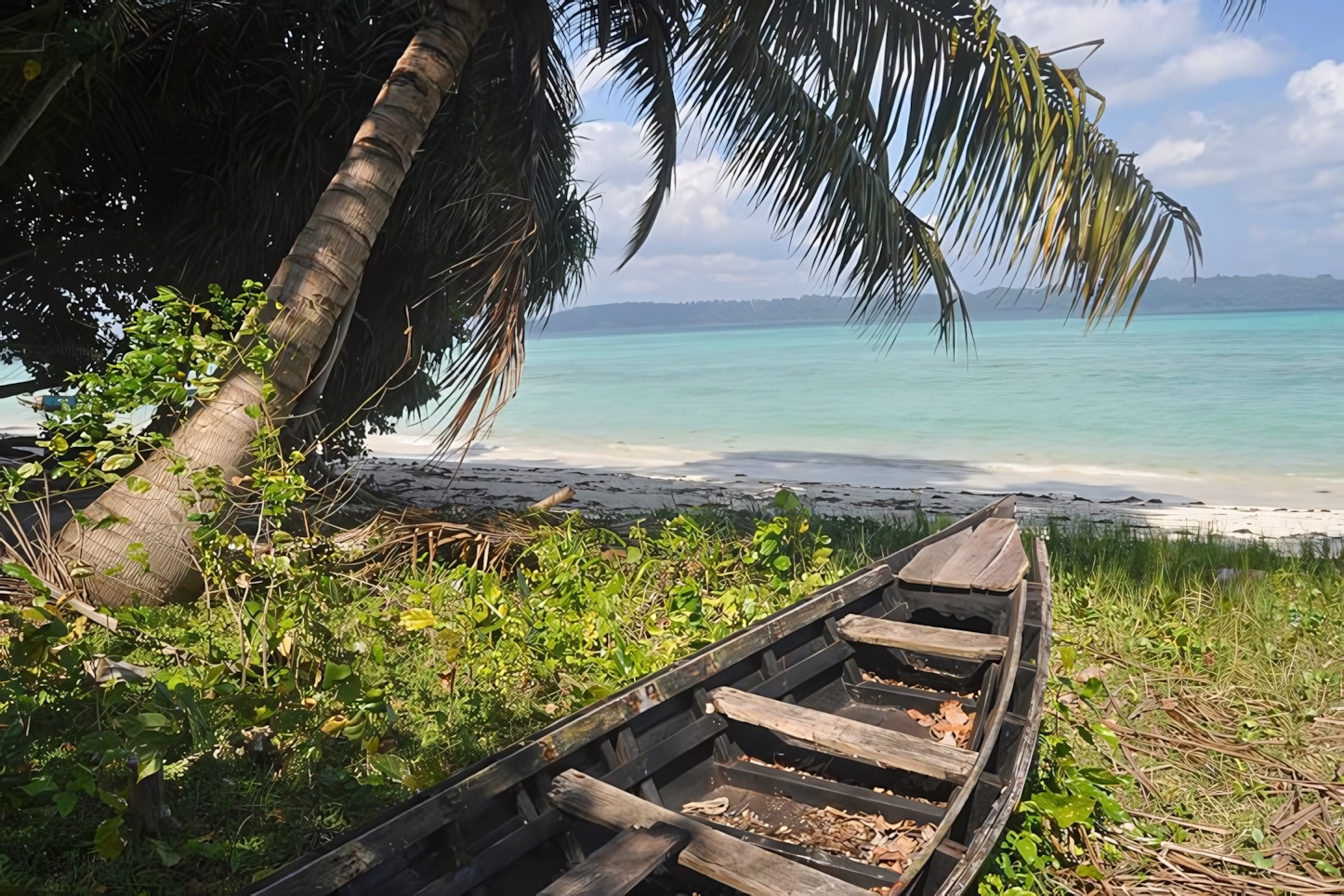 Vijay Nagar beach, Andaman Islands 2