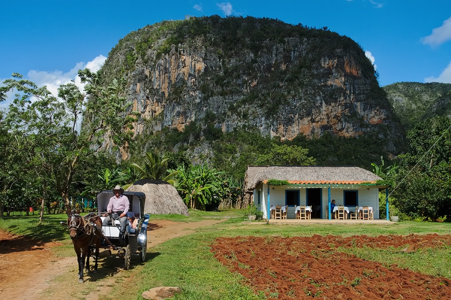 Vinales Landscape