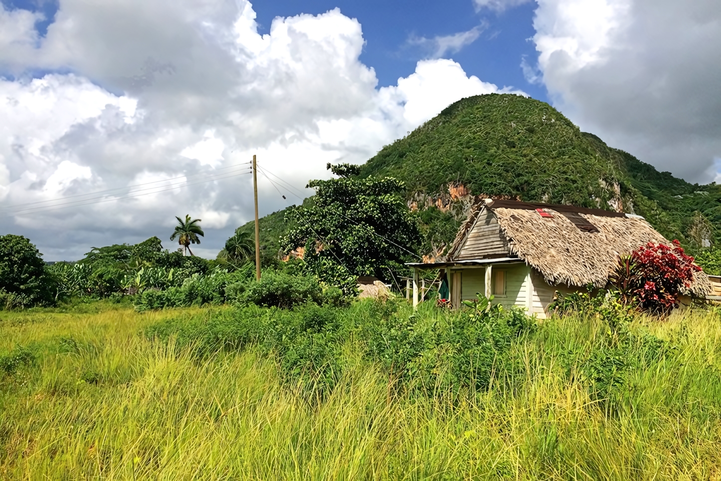 Vinales Nature