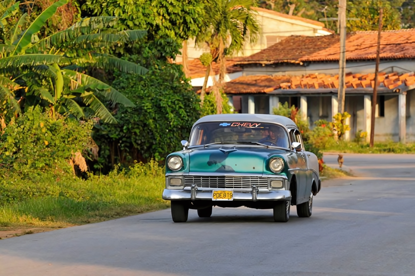 Viñales in a Day: Must-Do Activities in Cuba's Scenic Valley