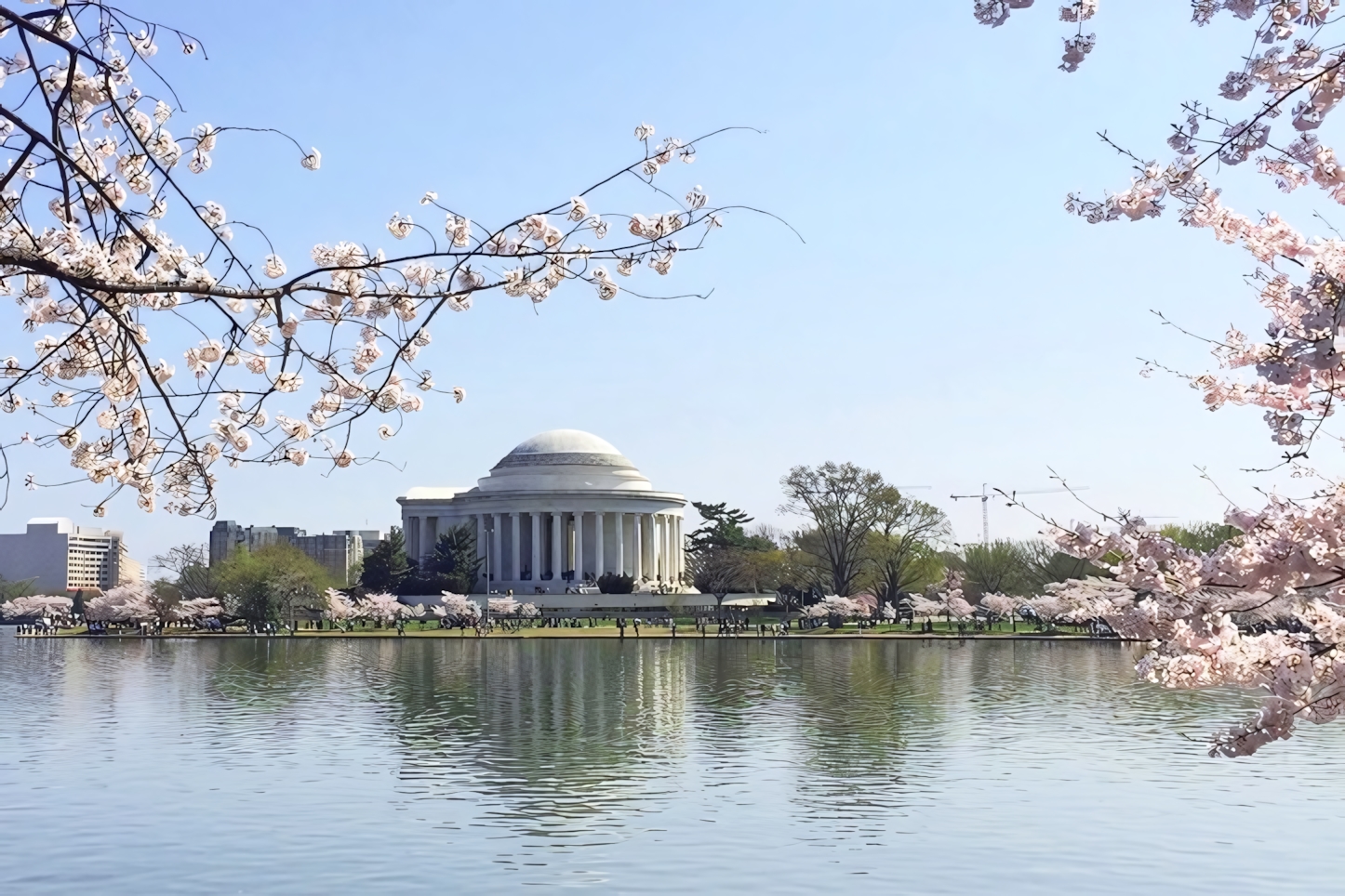 Washington DC in a Day: Essential Sights and Experiences