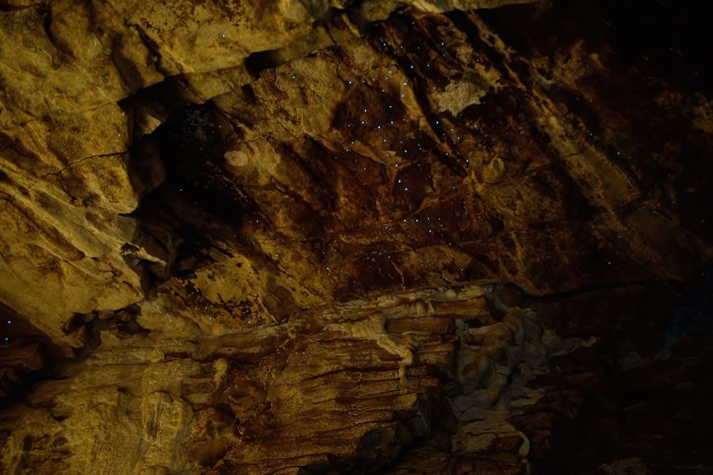 Whaitomo Glowworm Cave, New Zealand