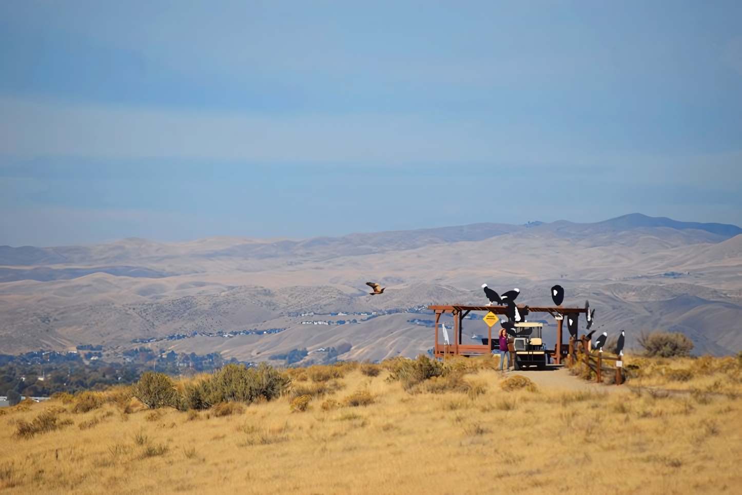 World Center for Birds of Prey, Boise 2