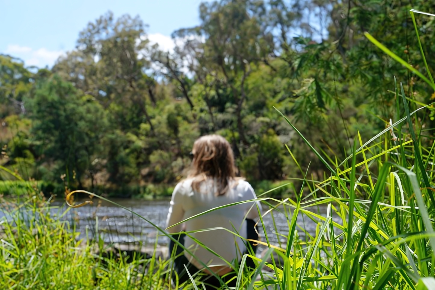 Discover Warrandyte: A Perfect Day Trip in Australia's Hidden Gem