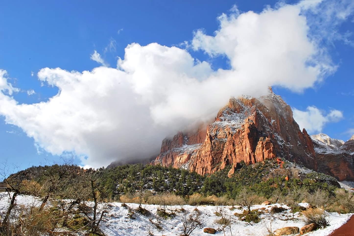 Zion National Park in One Day: Essential Sights and Activities for Your Utah Adventure